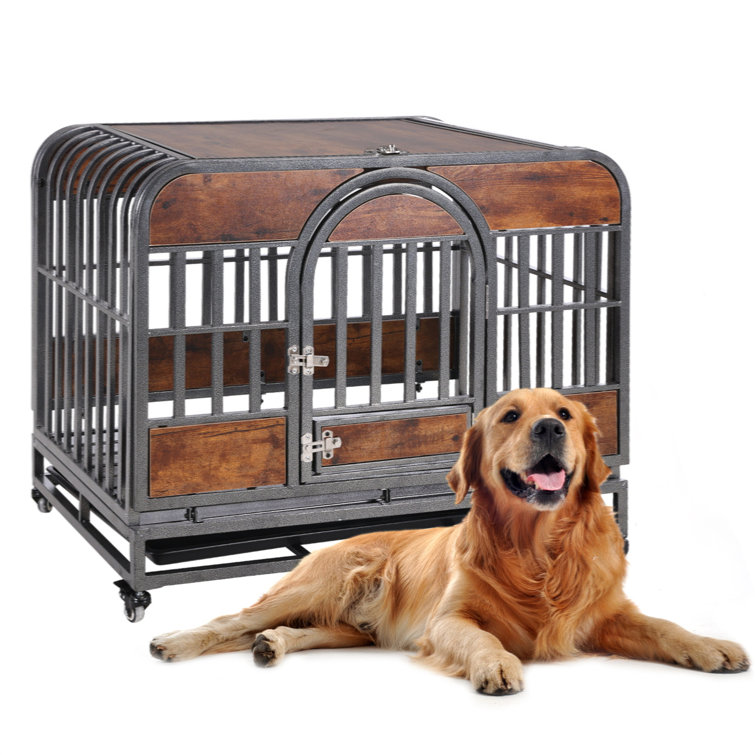 Easy clean outlet dog crate